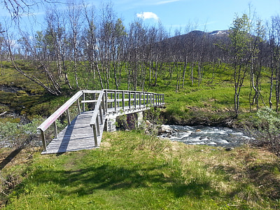 fjell, bro, Norrland, Stream, Sommer, vann, natur