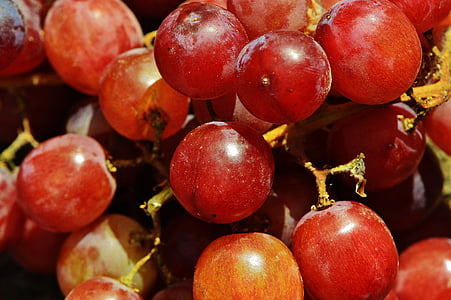 winogron, owoce, winogrona stołowe, dojrzałych winogron, Natura, zdrowe, słodkie