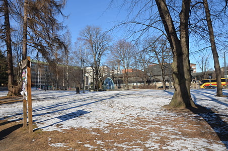 Park, träd, snö, Europa, Finland, Tammerfors