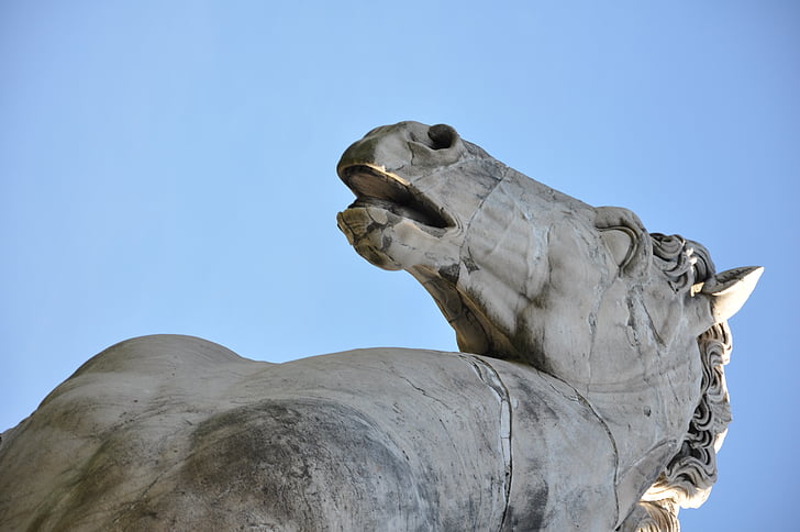 paard, beeldhouwkunst, Rome, standbeeld, het platform, beroemde markt, geschiedenis