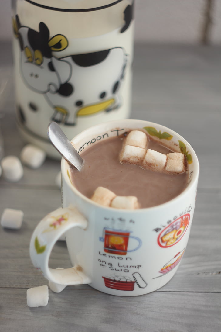 kakao, marshmallow, minuman, panas, cokelat, pagi, lezat