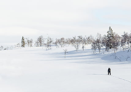 людина, носіння, сніг, пальто, середні, поле, облицювання