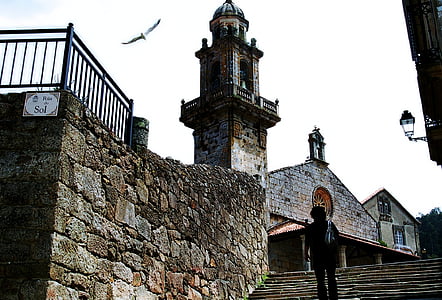 Galicia, sirályok, templom, építészet, repülés, béke, séta
