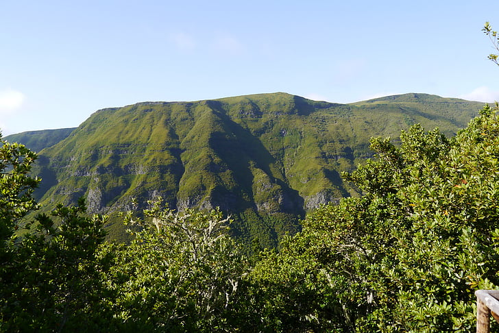 Madeira, dağ, Yeşil, zirve, iz, Portekiz, Hiking
