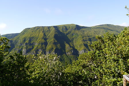 Madeira, montaña, verde, Cumbre de, sendero, Portugal, senderismo