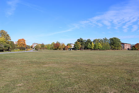 Lapangan rumput, Lapangan hijau, membuka lapangan