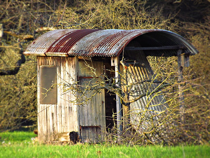 hut, cottage, shed, nature