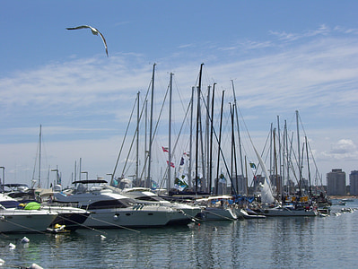 sailboat, port, seagull, sky, sea, water