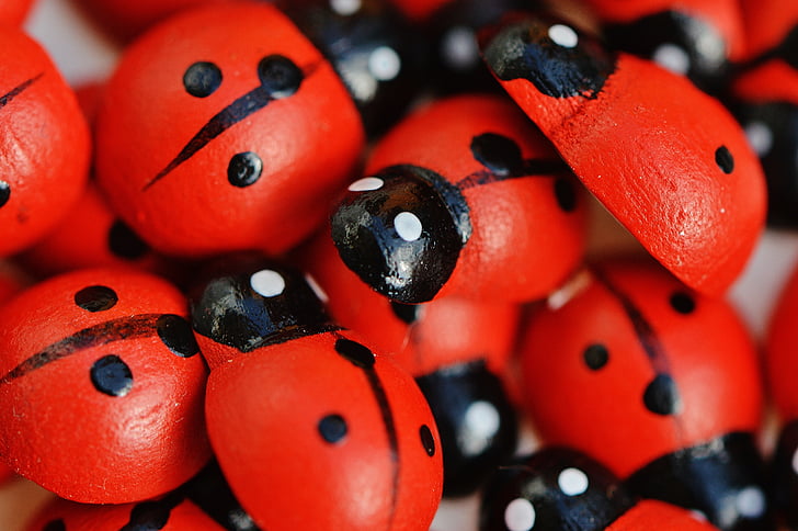 Ladybug, lemn, drăguţ, Lucky farmec, puncte, închide, Gândacul