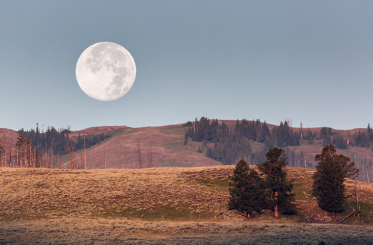 Luna calante, Alba, paesaggio, cielo, Parco nazionale, Yellowstone, Wyoming