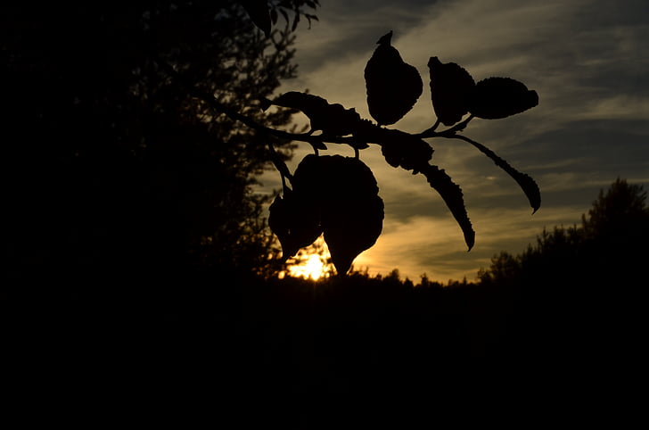 Zapad, Sunce, raj, priroda