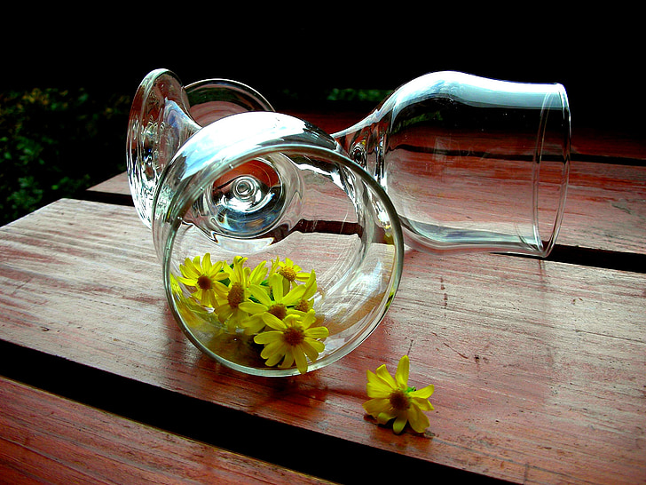 wine glasses, chamomile, yellow flowers, wooden desk