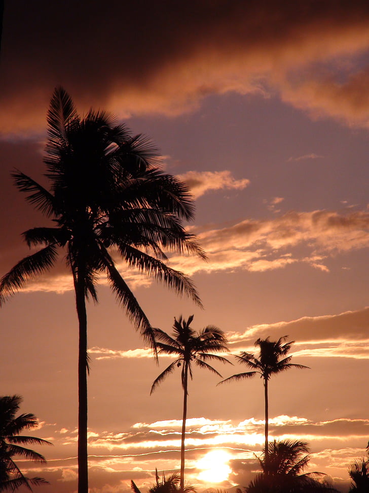Fiji, céu, nuvens, pôr do sol, colorido, cores, linda