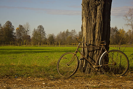 vélo, paysage, village, Pologne, nature