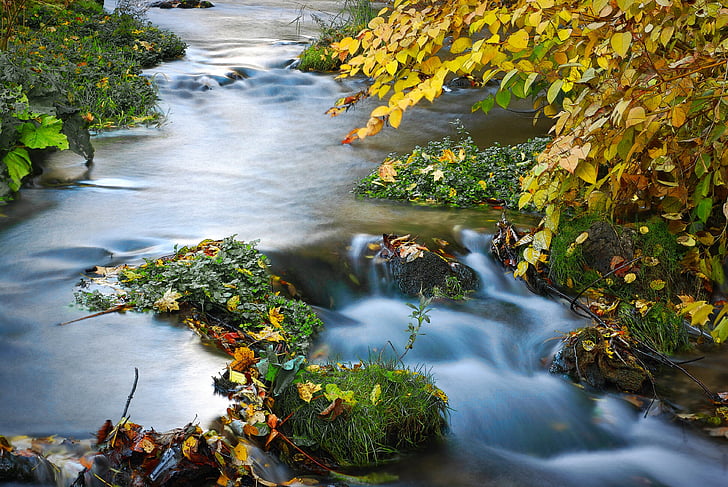racławka dalgång, racławka, torrent, skogen, hösten, floden, Fuzzy vatten
