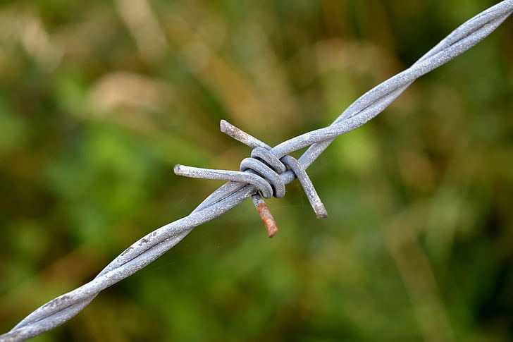 barbed wire, rust, node