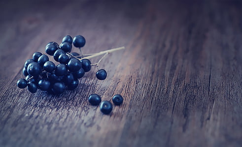 Privet, Berry, biru gelap, Privet-berries, kayu, Tutup, lukisan