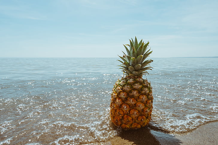 platja, Costa, fruita, oceà, pinya, sorra, Mar