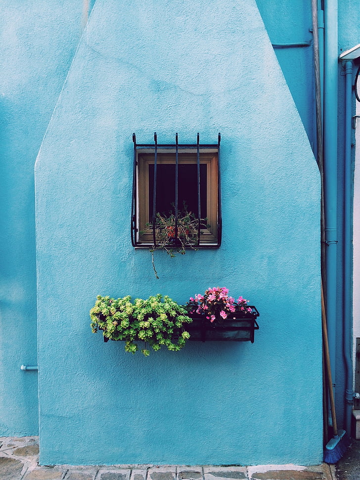 gėlės, krepšys, puodai, langas, barai, mėlyna, sienos