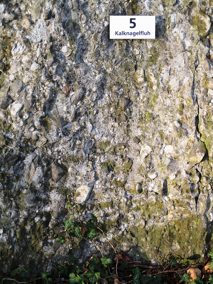 Nagelfluh, roccia, conglomerato di calcare, pietra, Romanshorn, Svizzera