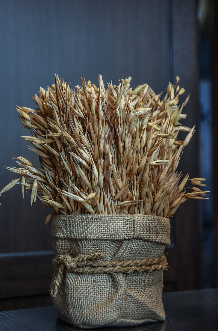 Пшениця, зерна, Сільське господарство, жнива, продукти харчування, Насіння, хліб