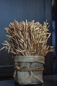 trigo, grão, agricultura, colheita, comida, sementes, pão