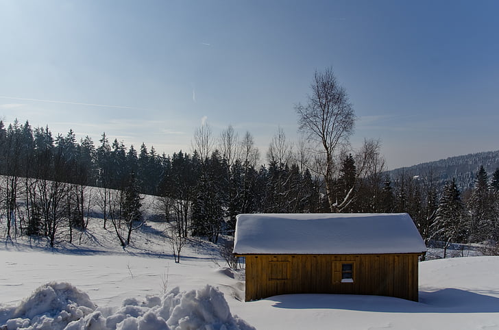 Cabana, neu, l'hivern, bosc, natura, casa, fusta