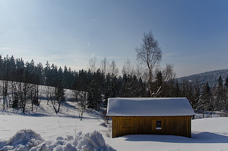 Cabaña, nieve, invierno, bosque, naturaleza, Inicio, madera