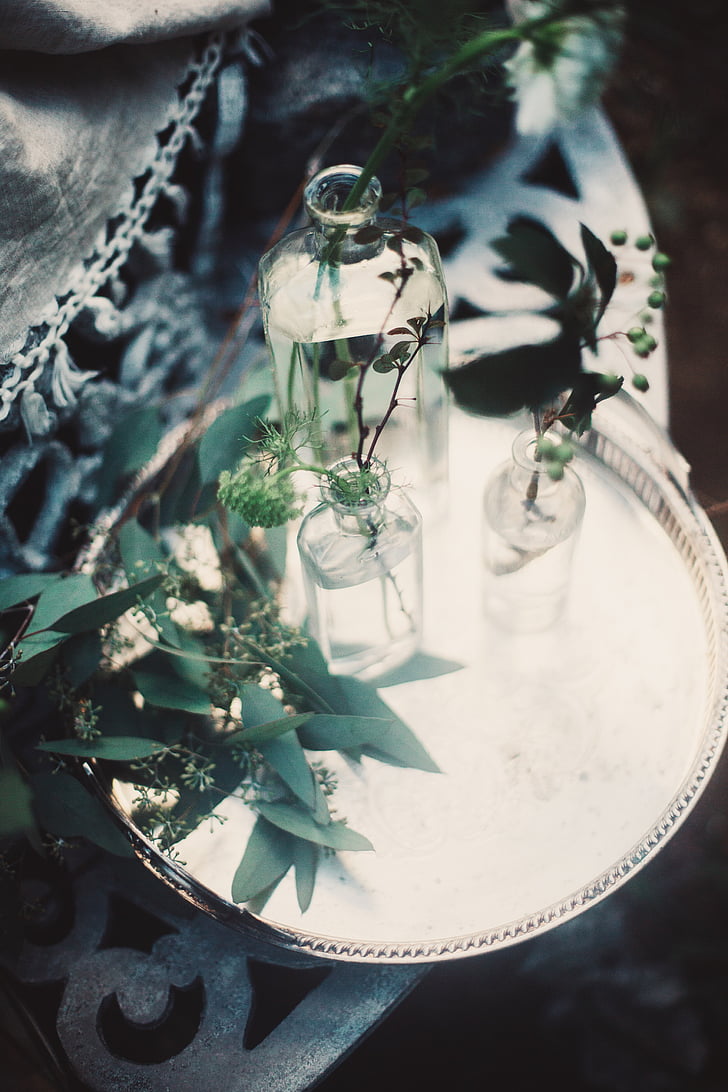verde, folha, planta, natureza, Borrão, vidro, jar