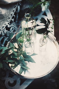 zelena, listov, rastlin, narave, pega, steklo, kozarec
