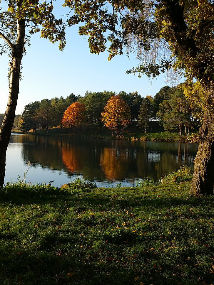gölet, Sonbahar, doğa, ağaçlar, yansıma, Panorama