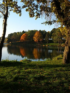 pond, fall, nature, trees, reflection, panorama