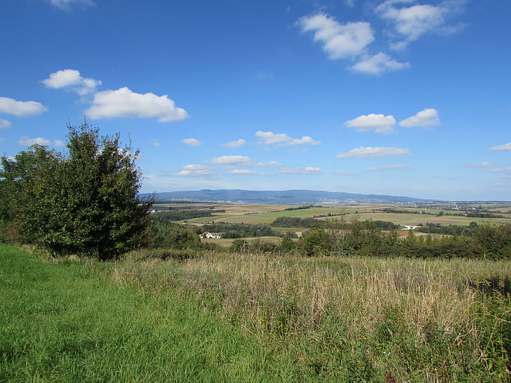domaine, Meadow, paysage, vision