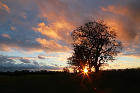 solnedgang, Suffolk, England, landskapet, himmelen, solnedgang