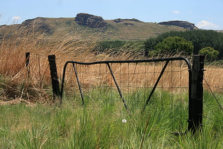 Värava maatila, Veld, vihreä, pitkää ruohoa, Bush, Mountain, taivas