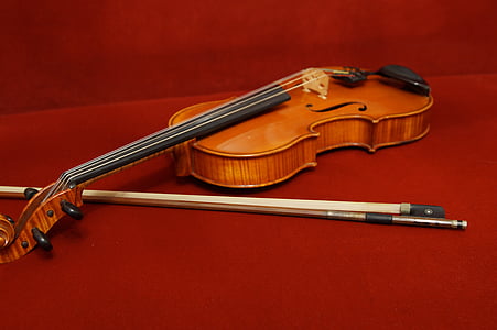 Viola, hudební nástroj, strunný nástroj