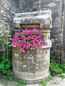 well, petunia, rosa, brittany, flower, cemetery, stone Material