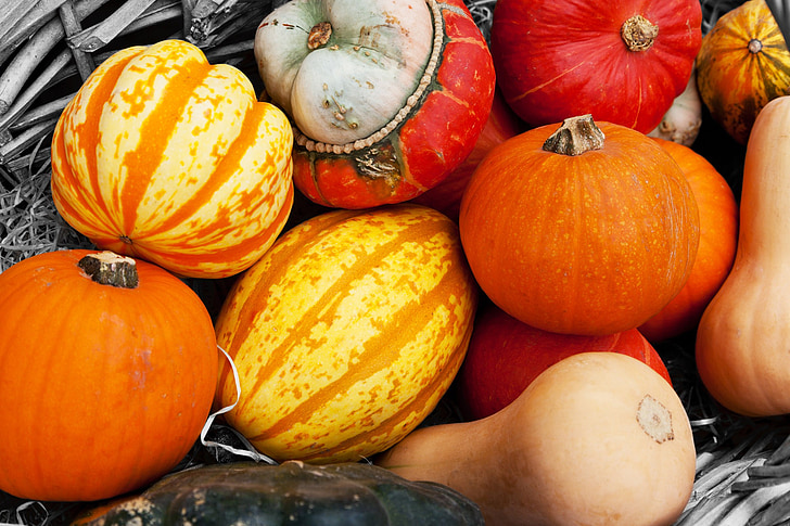 Poljoprivreda, jesen, šarene, Obrezivanje, jesen, hrana, svježe