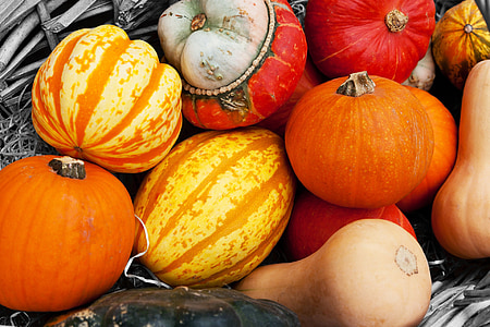 maatalous, Syksy, värikäs, sato, syksyllä, Ruoka, tuore