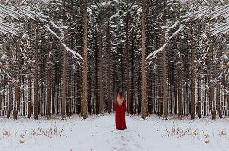 фотография, женщина, красный, длинный, рукав, Макси, платье