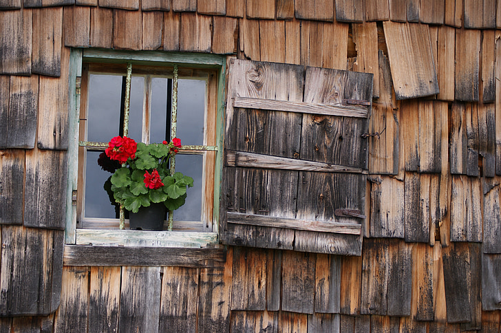 vinduet, ferie, grus, huset fasaden, tre Helvetesild, dekorative, blomster