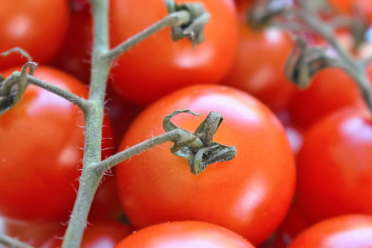 tomates, verduras, datailaufnahme, alimentos, rojo, Mediterráneo