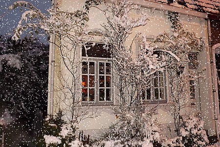 neige, hiver, Christmas, cosy, Sapin de Noël, carte de Noël, maison