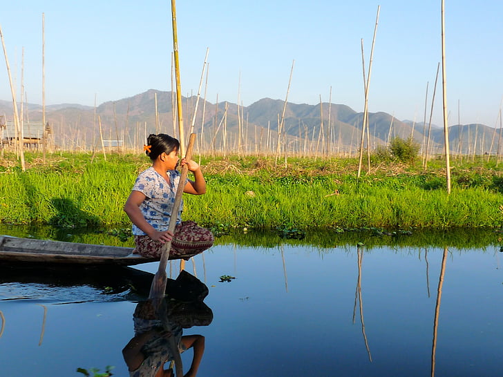 Halász, Inle-tó, Burma, halászati, nettó, lapát, hagyományos