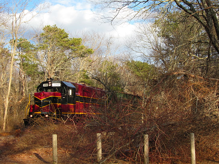 a vonat, természet, erdőben, festői, Cape cod, téli