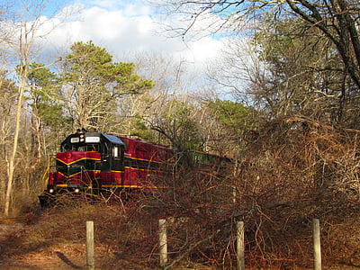kereta api, alam, hutan, indah, Cape cod, musim dingin