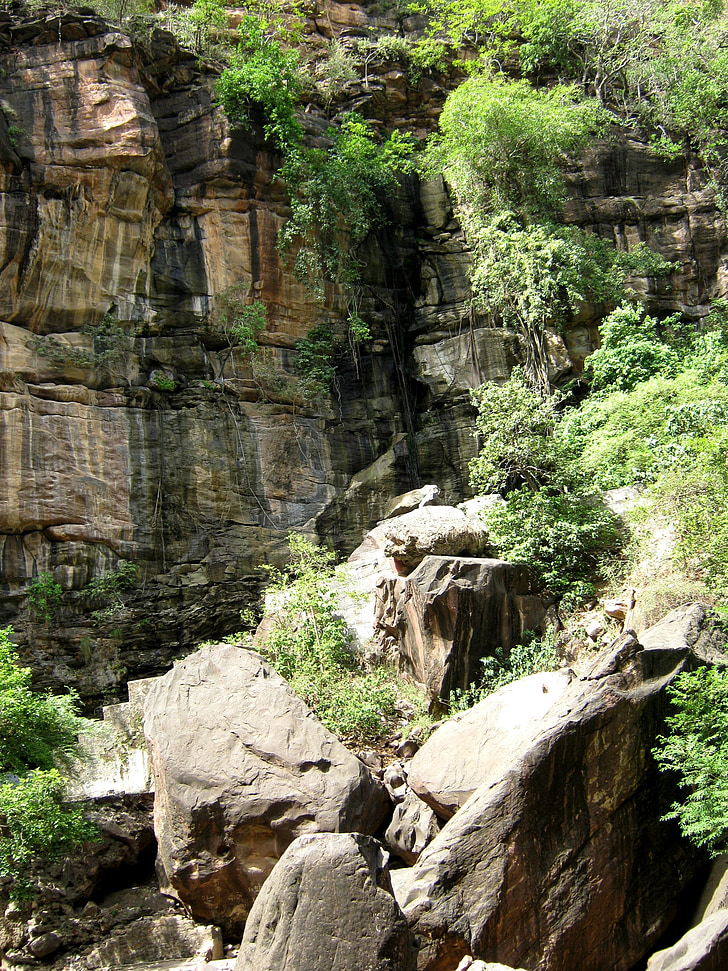 Cliff, natuur, Rock, rotswand, Jungle, zandsteen