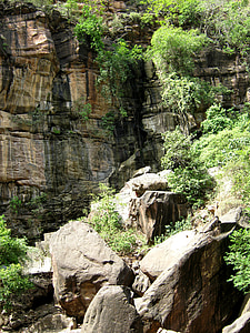 acantilado, naturaleza, roca, pared de roca, selva, piedra arenisca