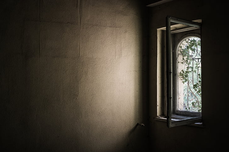 finestra, vell, abandonat, Heura, cobert, ombra, Marc
