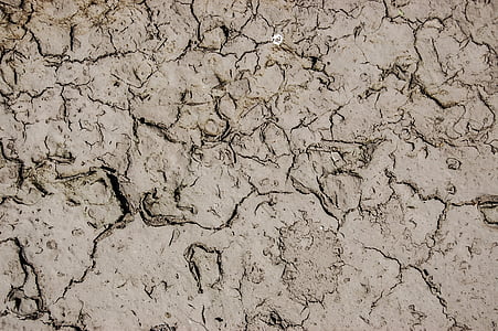 jorden, tekstur, baggrunden, tør, krakket, tørke, mudder